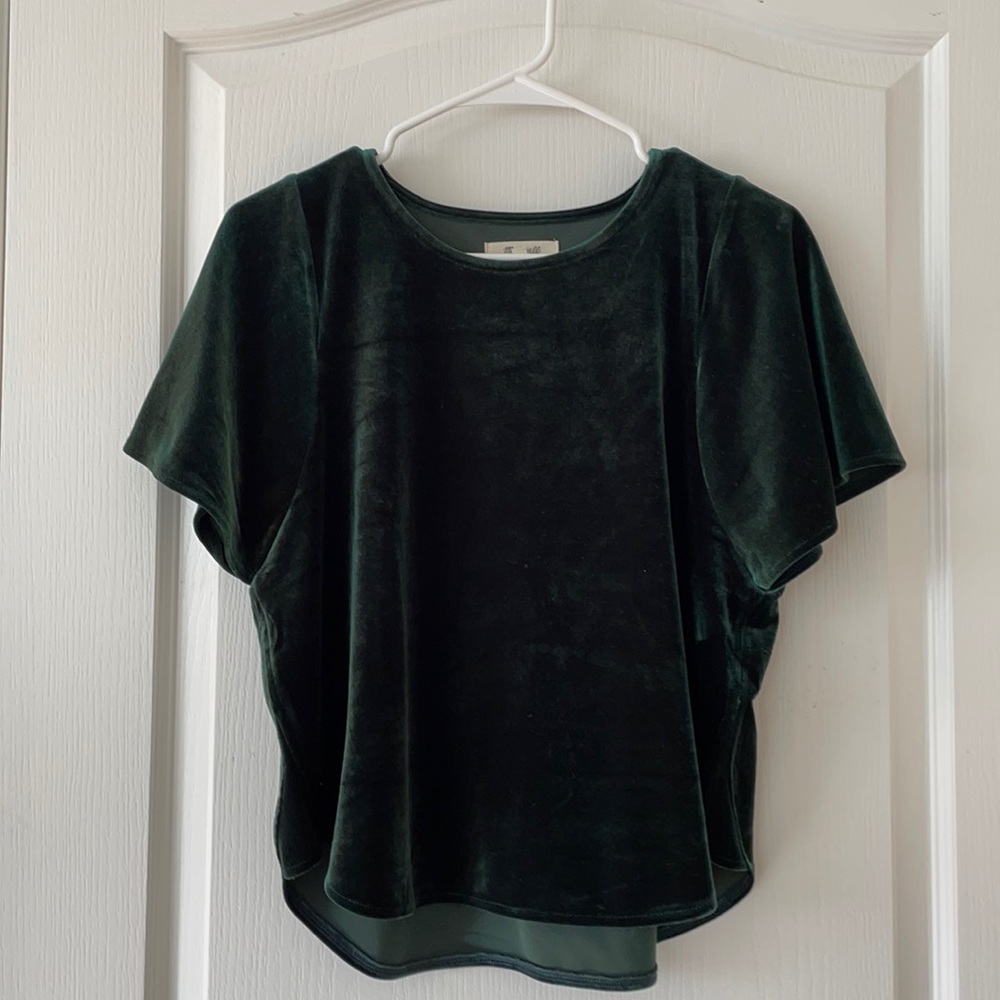 Madewell velvet short sleeve top